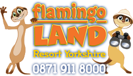  Flamingo Land Promo Code
